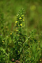 BUITEN BEELD Foto: 438405