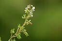 BUITEN BEELD Foto: 438416