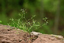 BUITEN BEELD Foto: 438420