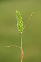 BUITEN BEELD Foto: 438423