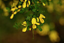 BUITEN BEELD Foto: 438425