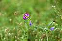 BUITEN BEELD Foto: 438427