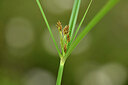 BUITEN BEELD Foto: 438428
