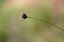 BUITEN BEELD Foto: 438430