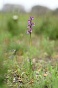 BUITEN BEELD Foto: 438431