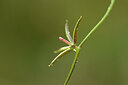 BUITEN BEELD Foto: 438432