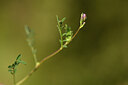 BUITEN BEELD Foto: 438433