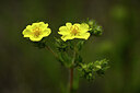 BUITEN BEELD Foto: 438437