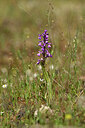 BUITEN BEELD Foto: 438438