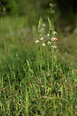 BUITEN BEELD Foto: 438440