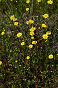 BUITEN BEELD Foto: 438442