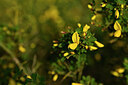 BUITEN BEELD Foto: 438443