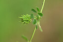 BUITEN BEELD Foto: 438447