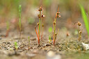 BUITEN BEELD Foto: 438454
