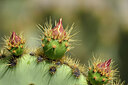 BUITEN BEELD Foto: 438455