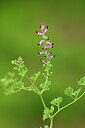 BUITEN BEELD Foto: 438456