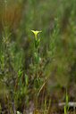 BUITEN BEELD Foto: 438459