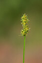 BUITEN BEELD Foto: 438461