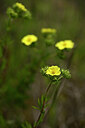 BUITEN BEELD Foto: 438462