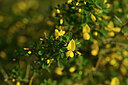 BUITEN BEELD Foto: 438465