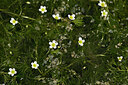 BUITEN BEELD Foto: 438467