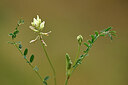 BUITEN BEELD Foto: 438469
