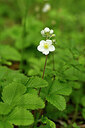 BUITEN BEELD Foto: 438470