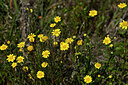 BUITEN BEELD Foto: 438471