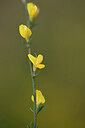 BUITEN BEELD Foto: 438472