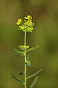 BUITEN BEELD Foto: 438474