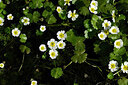 BUITEN BEELD Foto: 438475