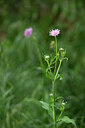 BUITEN BEELD Foto: 438476