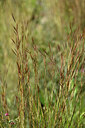 BUITEN BEELD Foto: 438479