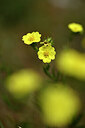BUITEN BEELD Foto: 438489