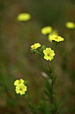 BUITEN BEELD Foto: 438490