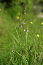BUITEN BEELD Foto: 438492