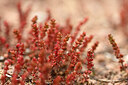 BUITEN BEELD Foto: 438495