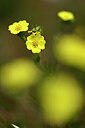 BUITEN BEELD Foto: 438498