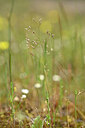 BUITEN BEELD Foto: 438500