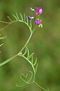 BUITEN BEELD Foto: 438502