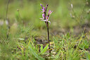 BUITEN BEELD Foto: 438504