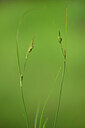 BUITEN BEELD Foto: 438505