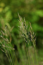 BUITEN BEELD Foto: 438508