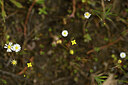 BUITEN BEELD Foto: 438511