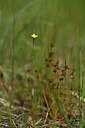 BUITEN BEELD Foto: 438518