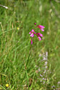 BUITEN BEELD Foto: 438519