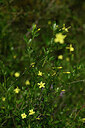BUITEN BEELD Foto: 438525