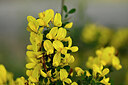 BUITEN BEELD Foto: 438526