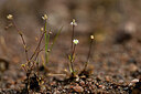 BUITEN BEELD Foto: 438527