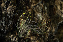 BUITEN BEELD Foto: 438531